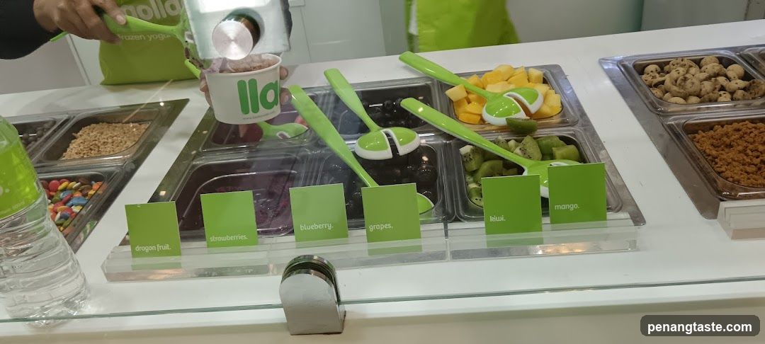 Frozen Yogurt Bar Display