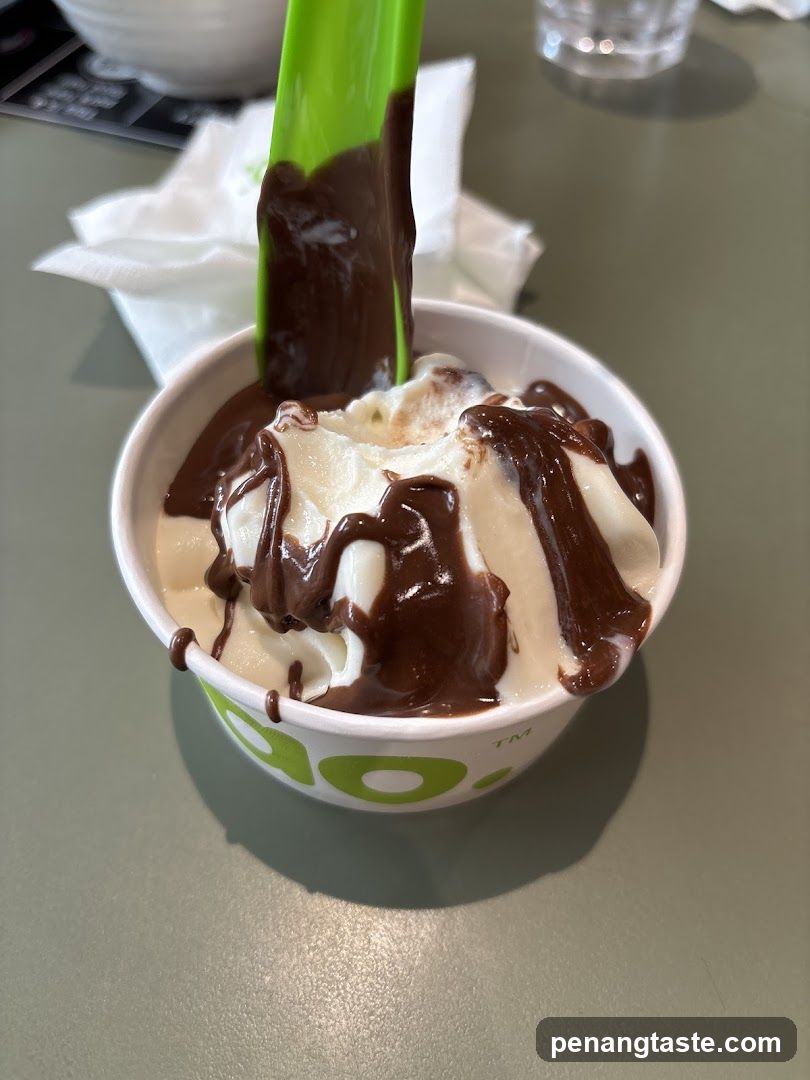 Chocolate Drizzle on Ice Cream