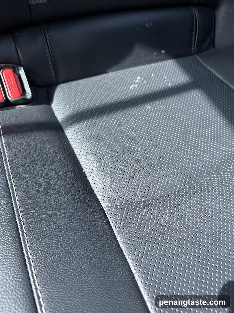 Car Interior Seat Detail