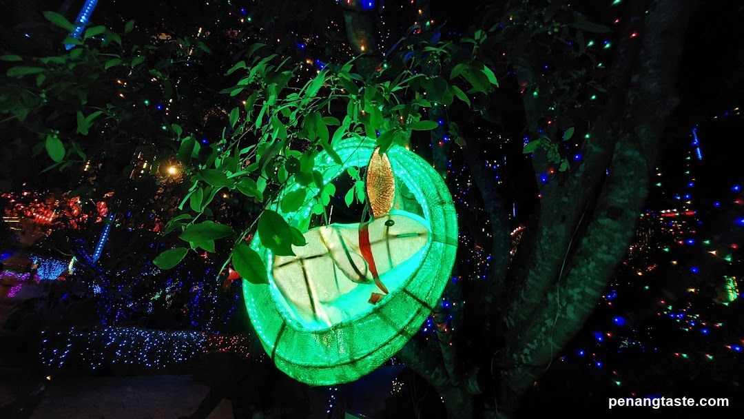 Illuminated Lantern in Tree