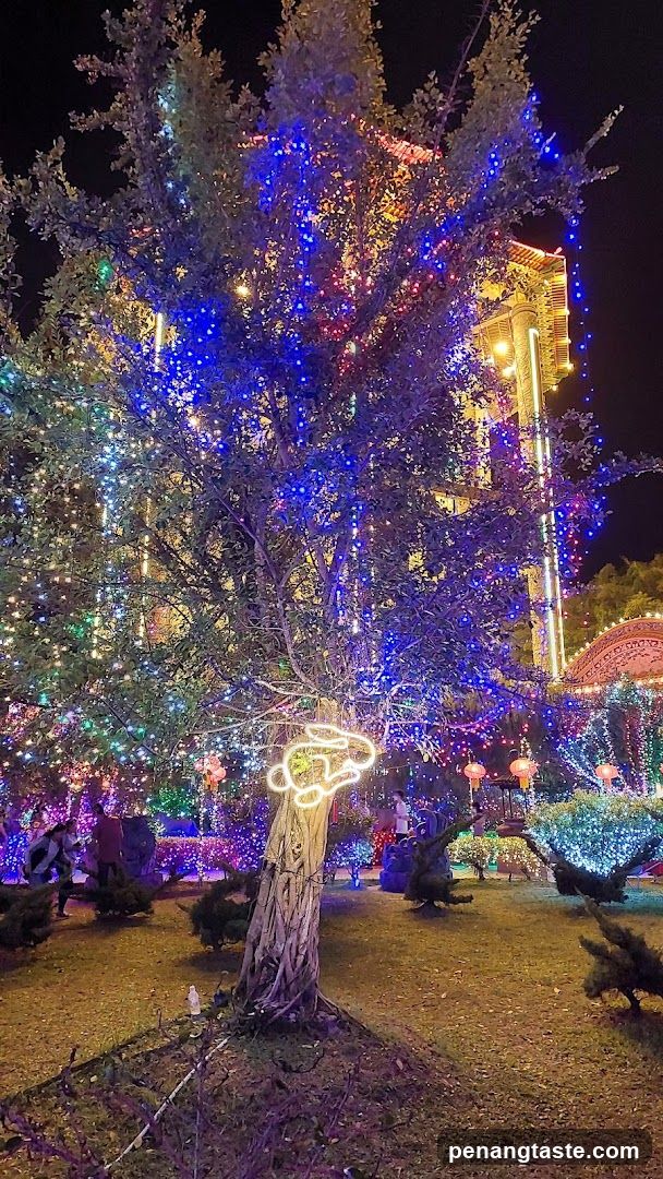 Night Festival Lights
