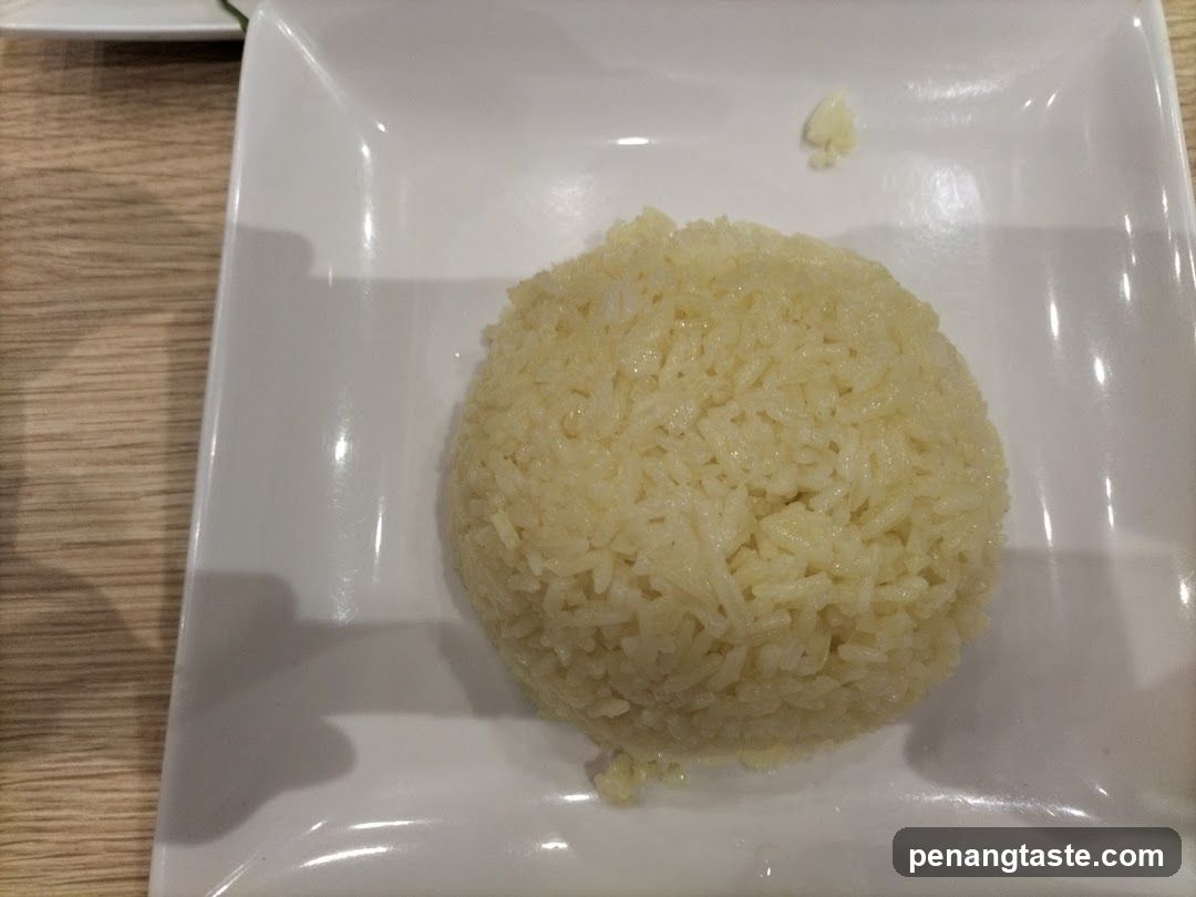 Rice Ball on White Plate