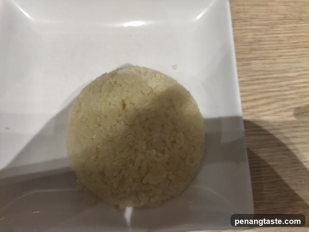 Rice Ball on White Plate