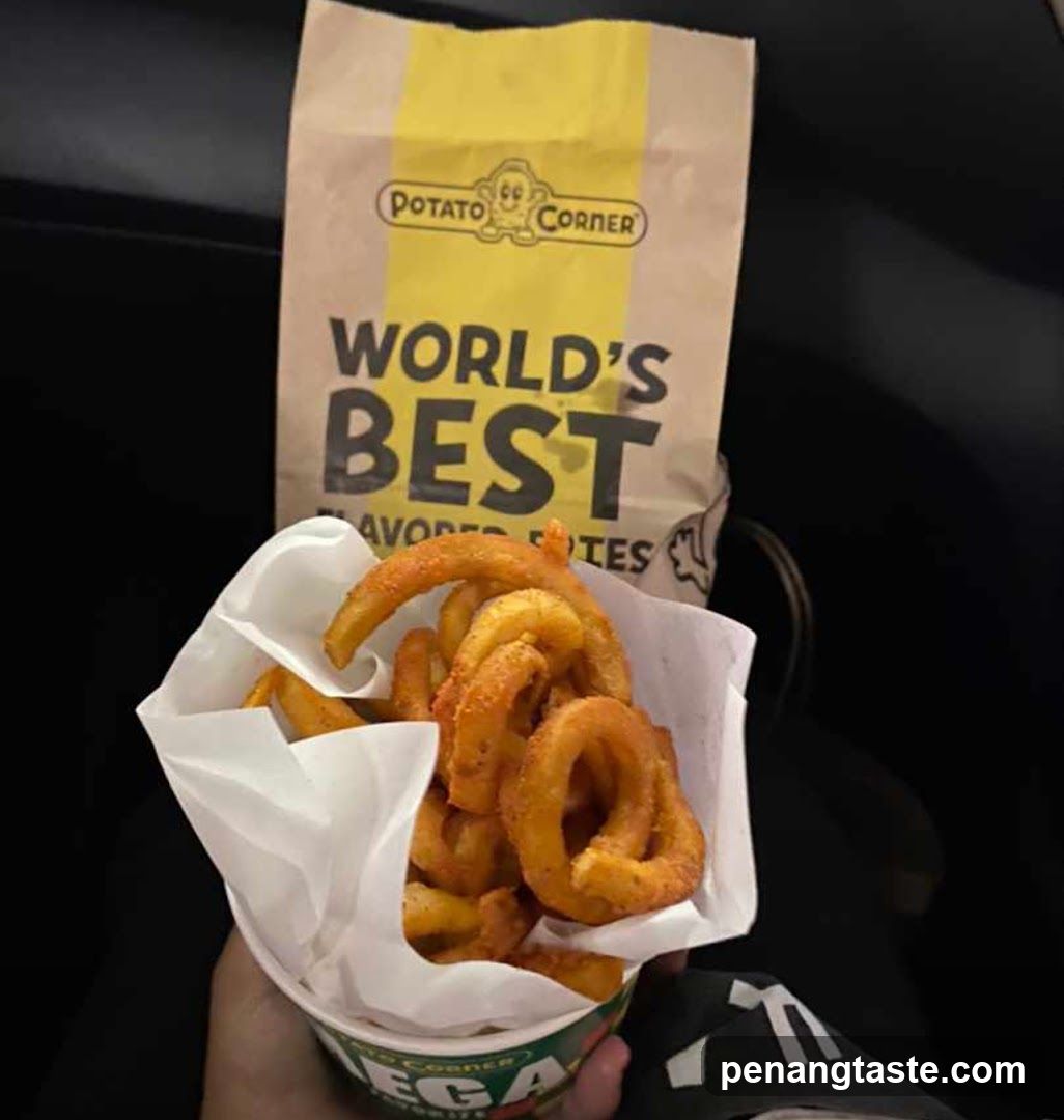 Potato Corner Curly Fries