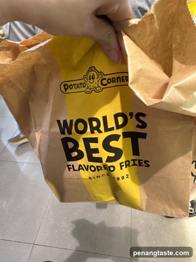 Potato Corner Fries Bag