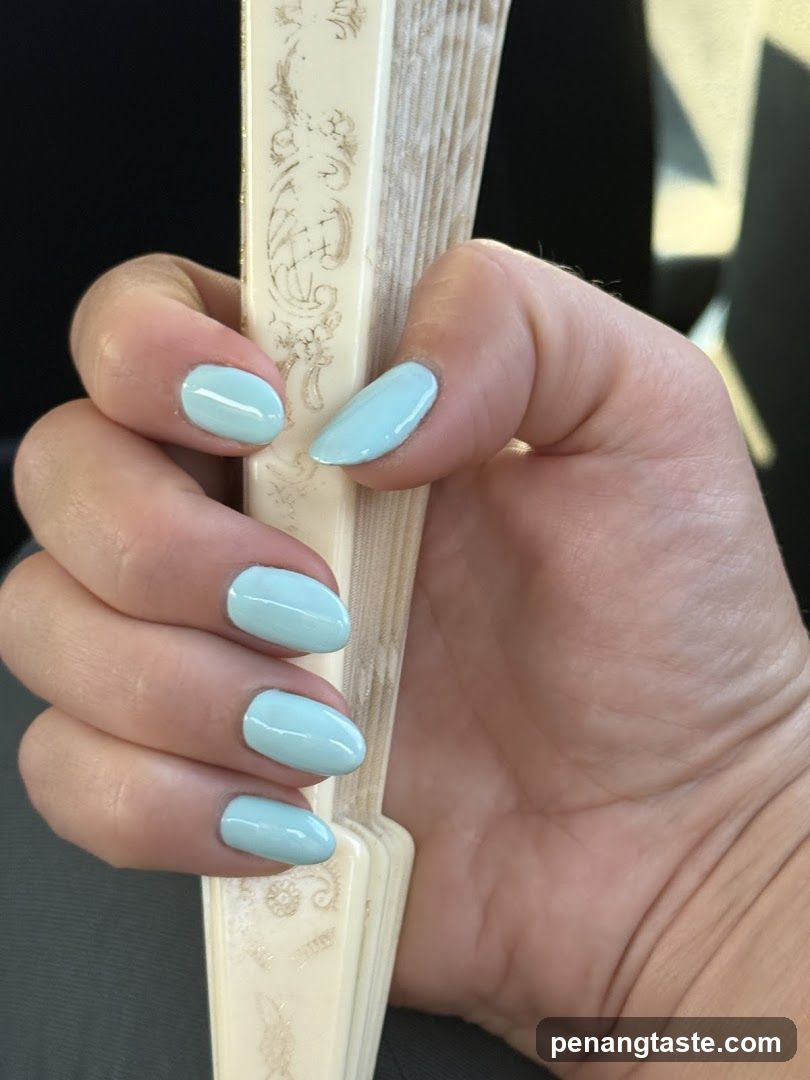 Hand holding decorative fan with light blue nails