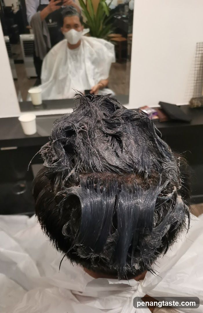 Hair Coloring Process in Salon