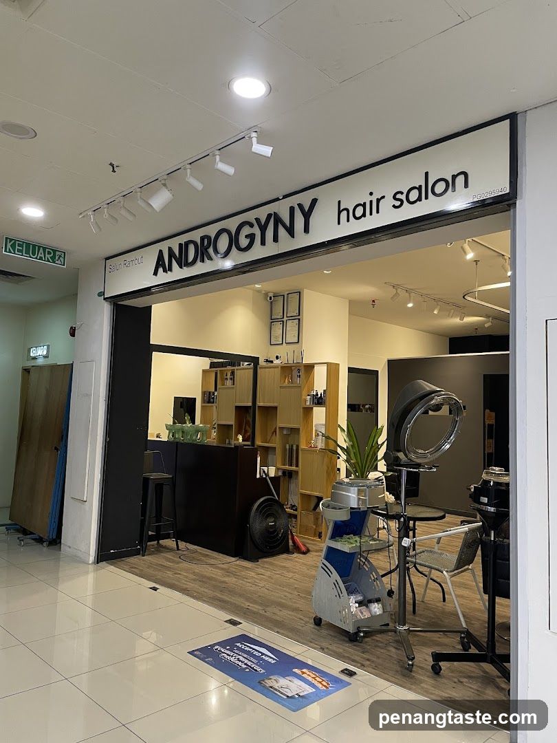 The image shows the storefront of Androgyny Hair Salon, with a prominent sign above the entrance displaying 'ANDROGNY hair salon'. Inside, there are wooden shelves filled with products, a reception desk, and various salon equipment including a large hair dryer and styling chair. A blue promotional mat is placed on the floor near the entrance.