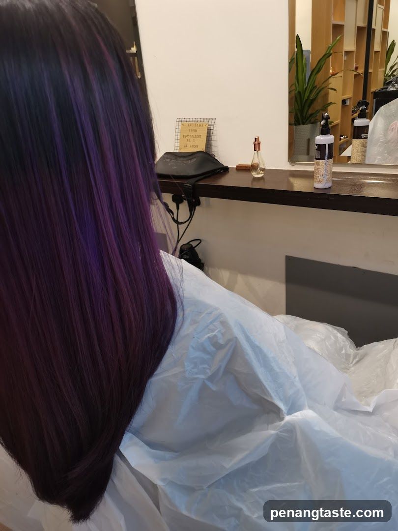 Hair Salon Interior with Purple Hair