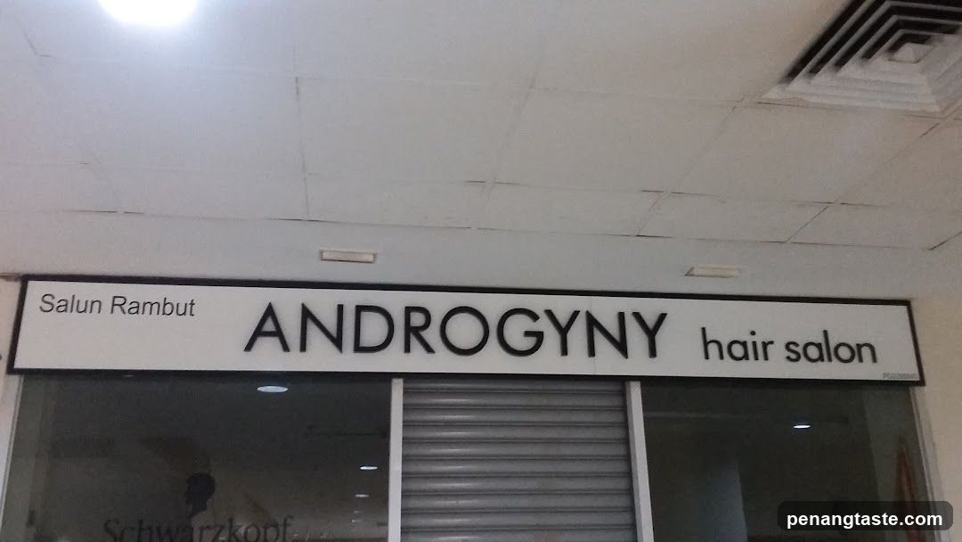 A storefront sign displaying 'Salun Rambut ANDROGYN hair salon' with a partially visible Schwarzkopf logo on the glass window below.