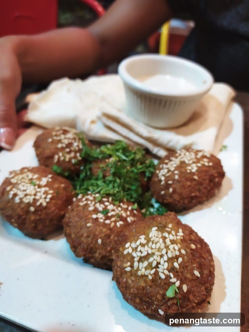 Fried Falafel with Pita Bread and Sauce