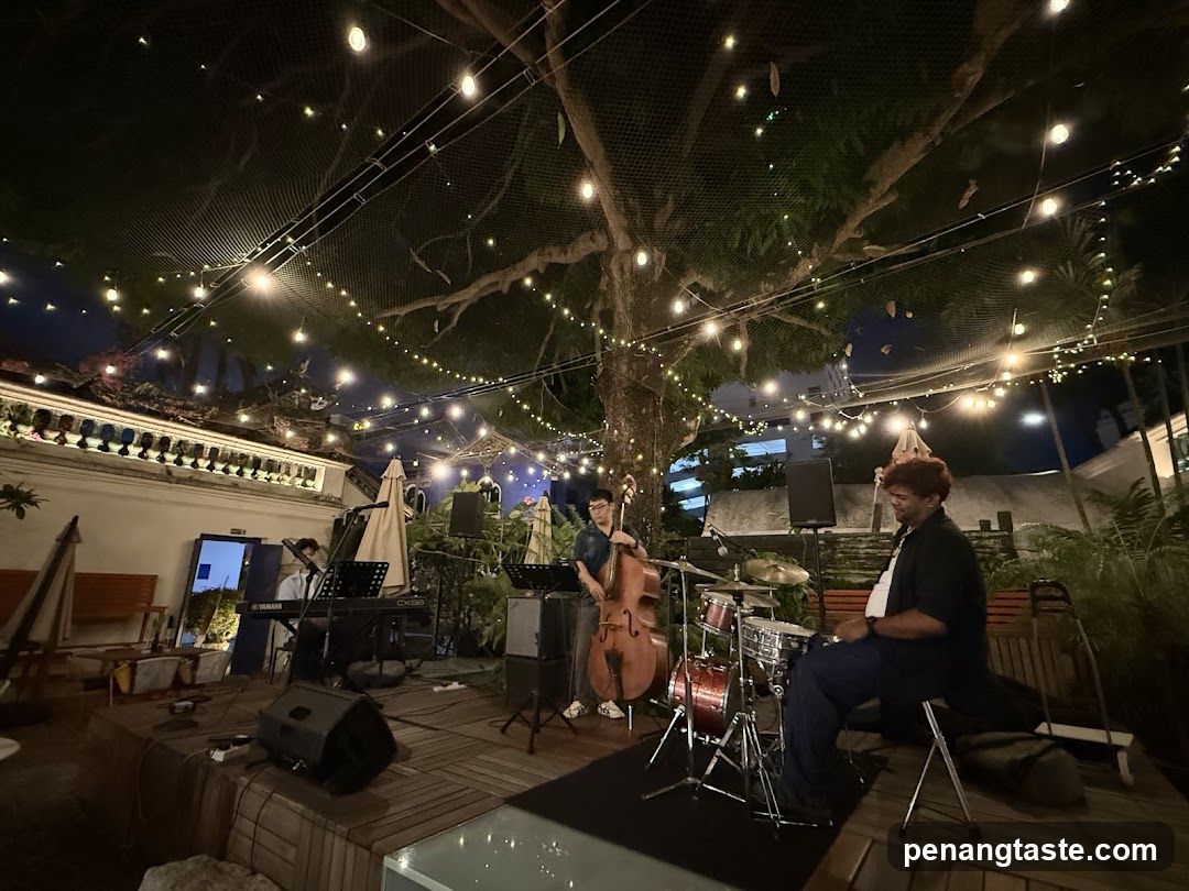 Outdoor Night Concert