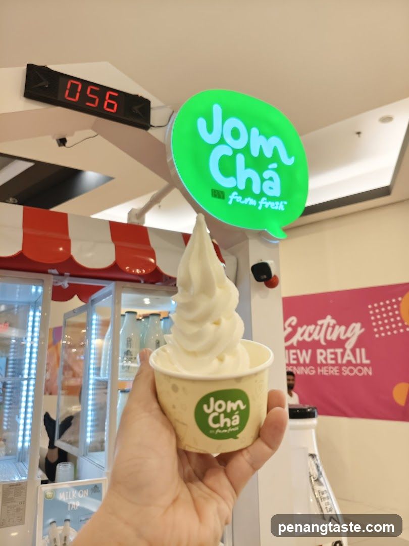Soft Serve Ice Cream Cup